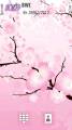 : Cherry Biossoms by manshu (12.4 Kb)