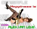 : Den1Simple - Happiness is (Alex van Love Remix)