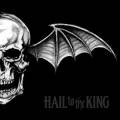 : Avenged Sevenfold - Hail To The King (2013)