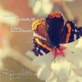 : Madrem-Butterfly Original mix