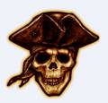 : PiratesLogbook () (11.1 Kb)