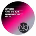 :  Amaze - What the funk (Original mix)