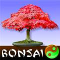:  Windows Phone 7-8 - Bonsai v.3.0.0.0 (21.3 Kb)