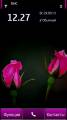 : Pink Roses HD by Kallol v5