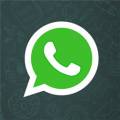 : WhatsApp v.2.18.368.0  (13.2 Kb)