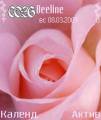 : Rose-rose_by_Rapid (8.1 Kb)