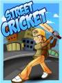 : Street Cricket 240x320 (22.2 Kb)