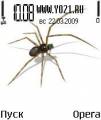 : spider (7.7 Kb)