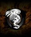 :  OS 9-9.3 - Dragon-ordinary176_by_Werbecher (7.4 Kb)
