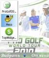 : Pro Golf 2010 (11.3 Kb)