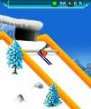 : Ski Jumping 2009 (9 Kb)