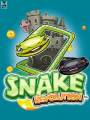 : Snake Revolution 240x320, 320x240, 352x416 (23.6 Kb)