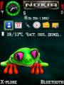 : Frog by Jimmy. (19.6 Kb)