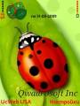 :   - Ladybird by Qwad (16.8 Kb)