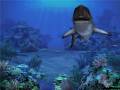 : Sharks, Terrors of the Deep Screensaver 2.0 (9.1 Kb)