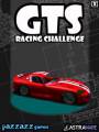 : GTR racing (15.9 Kb)