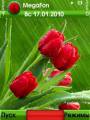 :  OS 9-9.3 - Red Tulips (17.5 Kb)