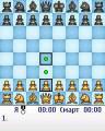 : Chess Genius v3.60 (23.2 Kb)
