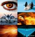 : ,  - Mixed Collection Wallpapers (2010) (21.7 Kb)