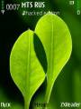 : Green Leaf by riajss (16.6 Kb)