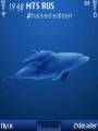 : Dolphins by ThaBull (10.4 Kb)