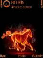 : Hot Horse by noahdcruz (15 Kb)