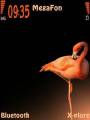 : Flamingo by Panatta