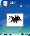 : Spider