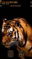 : Tiger by primavera77