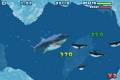 :  Android OS - Hungry sharks : 1.3.0 (6.4 Kb)