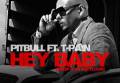 : Pitbull feat. T-Pain  - Hey Baby (Drop It To The Floor)