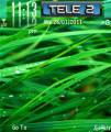 :  OS 7-8 - grass green leaf (12.7 Kb)
