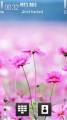 : Pink Flowers by Zack (12 Kb)
