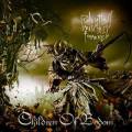 : Children of Bodom - Relentless Reckless Forever (2011) (28.8 Kb)