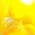 : Metal - Tarja Turunen - Into the Sun (Single) (2012) (10.3 Kb)