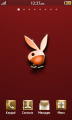 :  Bada OS -  RedRabbit (7.4 Kb)