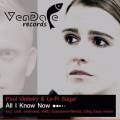 : Paul Vinitsky & Lo-Fi Sugar - All I Know Now (Album Version)