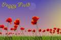:  Android OS - Poppy Field Live Wallpaper 2.10 (7.8 Kb)