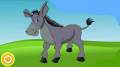 :  MeeGo 1.2 - Talking Donkey v.1.3.1 (5.3 Kb)
