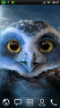 :  Android OS - Owl Guardians 1.0 (11.7 Kb)