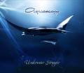 : Aquascape - Underwater stranger (2012) (8.2 Kb)