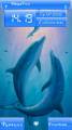 : Dolphin family by Nadia24 (11.6 Kb)