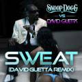 : Snoop Dogg - Wet (Sweat) (David Guetta Remix)