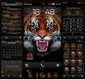 : Tiger by Baccara (16.8 Kb)