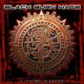 : Black Burn Hate - A Theory Of Justice (2012)  (26.3 Kb)