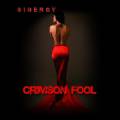 : Crimson Fool - Sinergy (2012)