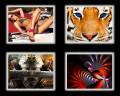 : Dedyly Mix WideScreen 28 (16.04.2012) (2) (13.5 Kb)