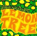 : Fool's Garden - Lemon Tree (17.4 Kb)