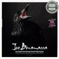 : Joe Bonamassa  - No Hits, No Hype, Just The Best (2012) (10.3 Kb)