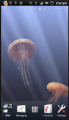 : 3D Jellyfish HD Pro Live Wallpaper v1.0